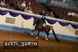 21YN_52870 thumbnail