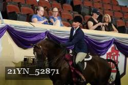 21YN_52871 thumbnail