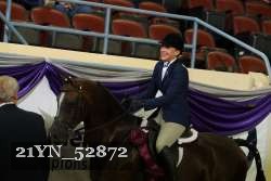 21YN_52872 thumbnail
