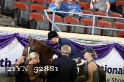 21YN_52881 thumbnail
