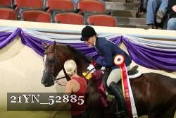 21YN_52885 thumbnail