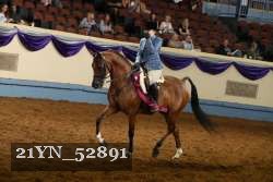 21YN_52891 thumbnail