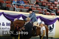 21YN_52899 thumbnail