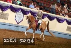 21YN_52934 thumbnail