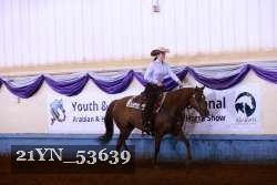 21YN_53639 thumbnail