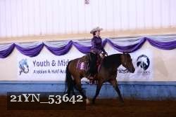 21YN_53642 thumbnail