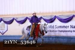21YN_53646 thumbnail