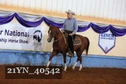 21YN_40542 thumbnail
