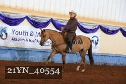 21YN_40554 thumbnail