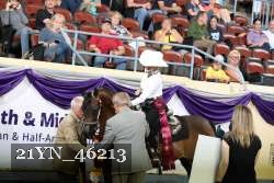 21YN_46213 thumbnail