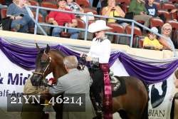 21YN_46214 thumbnail