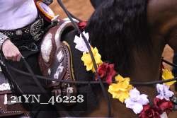 21YN_46228 thumbnail