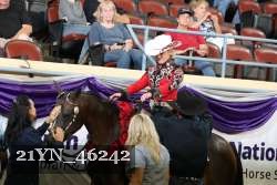 21YN_46242 thumbnail