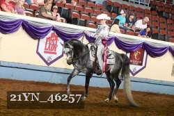 21YN_46257 thumbnail