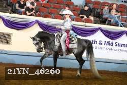 21YN_46260 thumbnail