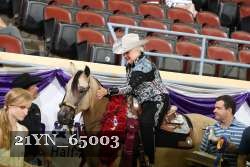 21YN_65003 thumbnail