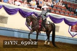 21YN_65022 thumbnail