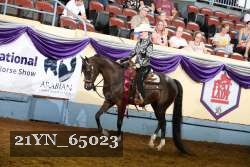 21YN_65023 thumbnail