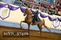 21YN_57426 thumbnail