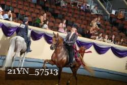 21YN_57513 thumbnail