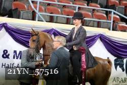 21YN_57516 thumbnail