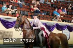 21YN_57526 thumbnail