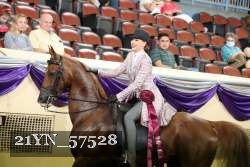 21YN_57528 thumbnail