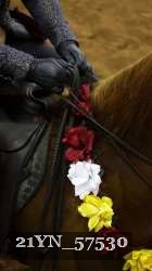 21YN_57530 thumbnail