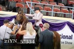 21YN_57534 thumbnail