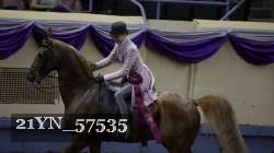 21YN_57535 thumbnail
