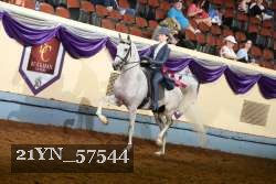 21YN_57544 thumbnail