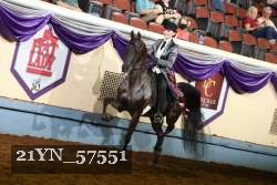 21YN_57551 thumbnail