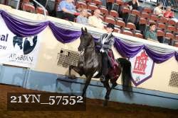 21YN_57552 thumbnail