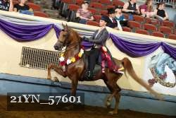 21YN_57601 thumbnail