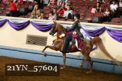 21YN_57604 thumbnail