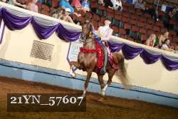 21YN_57607 thumbnail