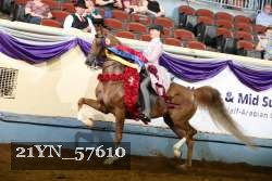 21YN_57610 thumbnail