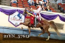21YN_57611 thumbnail