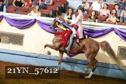 21YN_57612 thumbnail