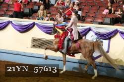 21YN_57613 thumbnail