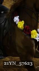 21YN_57623 thumbnail