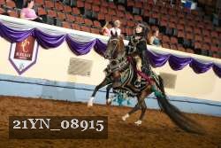 21YN_08915 thumbnail