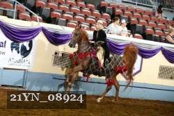 21YN_08924 thumbnail
