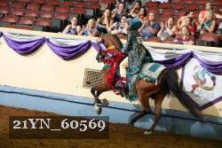 21YN_60569 thumbnail