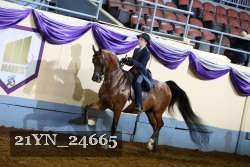 21YN_24665 thumbnail