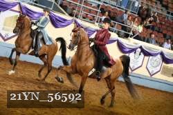 21YN_56592 thumbnail