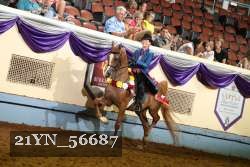 21YN_56687 thumbnail
