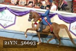 21YN_56693 thumbnail