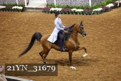 21YN_31679 thumbnail