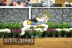 21YN_31695 thumbnail